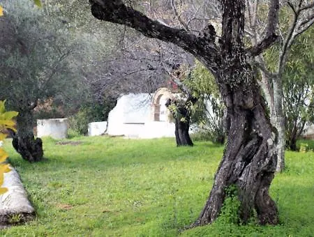 El Retiro De Alájar